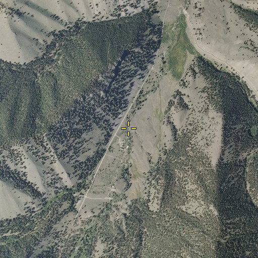 Aerial/Satellite Image of Last Chance Creek, ID