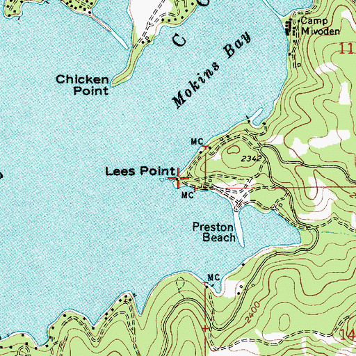 Topographic Map of Lees Point, ID