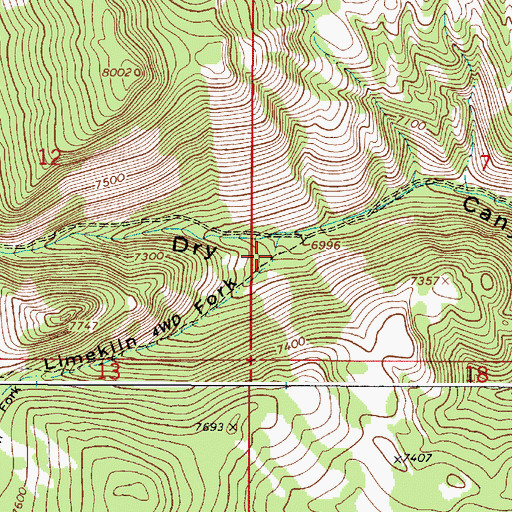 Topographic Map of Limekiln Fork, ID