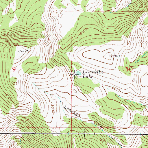 Topographic Map of Limekiln Lake, ID
