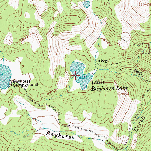 Topographic Map of Little Bayhorse Lake, ID
