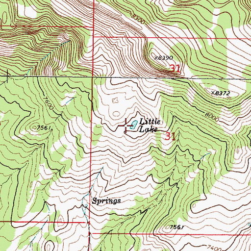 Topographic Map of Little Lake, ID