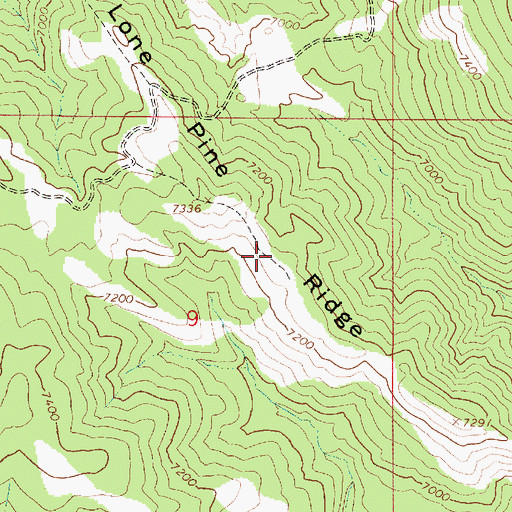 Topographic Map of Lone Pine Ridge, ID