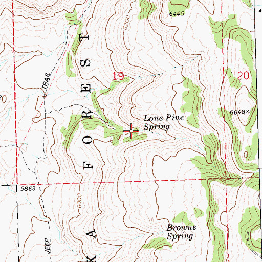 Topographic Map of Lone Pine Spring, ID