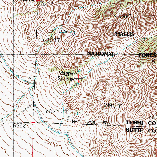 Topographic Map of Magpie Springs, ID