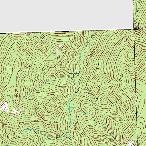 Topographic Map of Magruder Creek, ID
