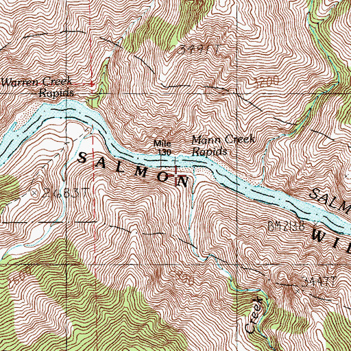 Topographic Map of Mann Creek, ID