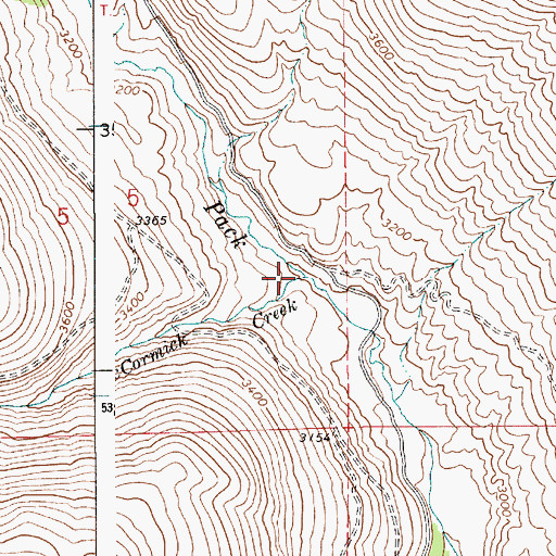 Topographic Map of McCormick Creek, ID
