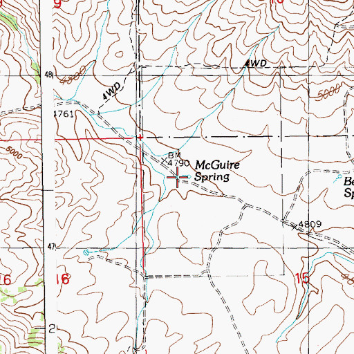 Topographic Map of McGuire Spring, ID