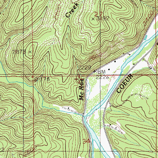 Topographic Map of McRae Creek, ID