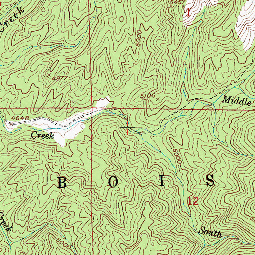 Topographic Map of Middle Fork Smith Creek, ID