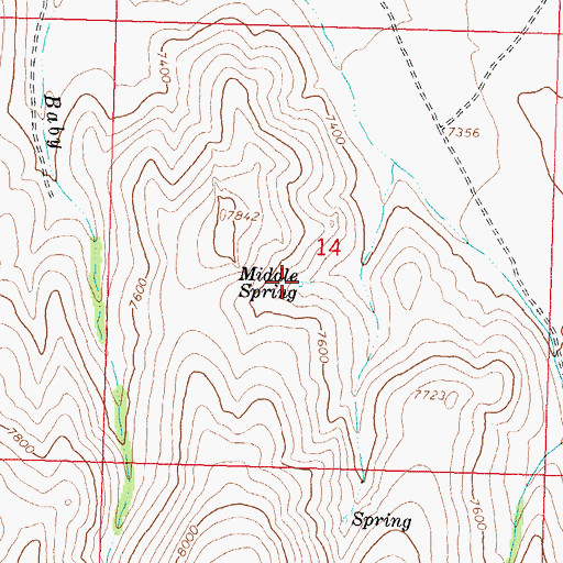 Topographic Map of Middle Spring, ID
