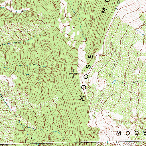Topographic Map of Moose Mountains, ID