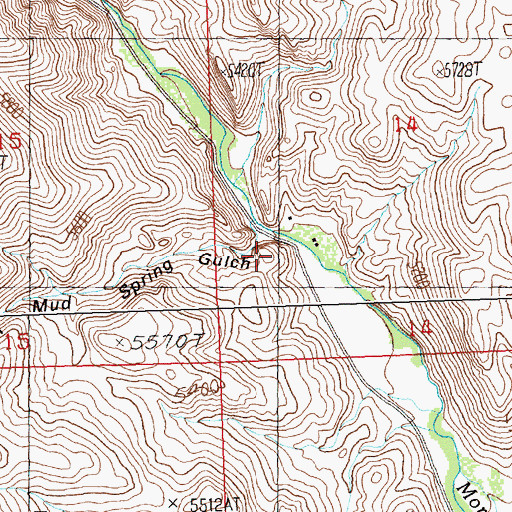 Topographic Map of Mud Spring Gulch, ID