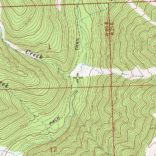 Topographic Map of Mud Springs Creek, ID