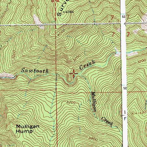 Topographic Map of Mulligan Creek, ID