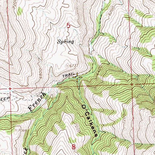 Topographic Map of Calkins Gulch, ID