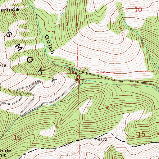 Topographic Map of Packer Gulch, ID