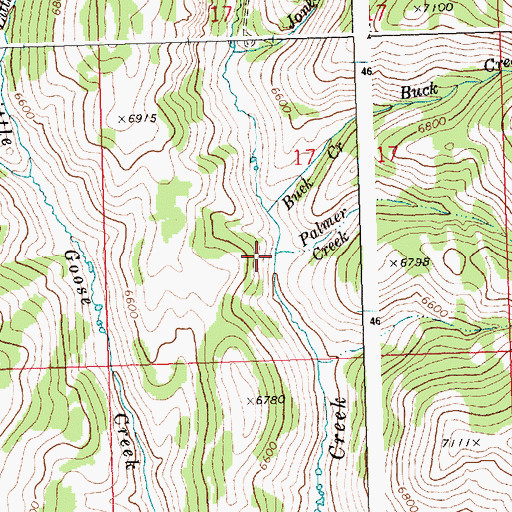 Topographic Map of Palmer Creek, ID