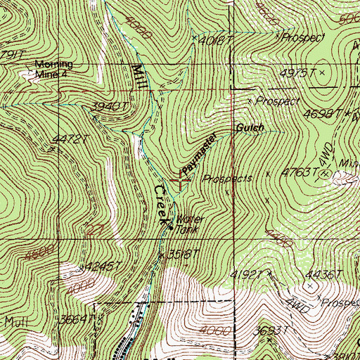Topographic Map of Paymaster Gulch, ID