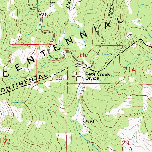 Topographic Map of Pete Creek Divide, ID
