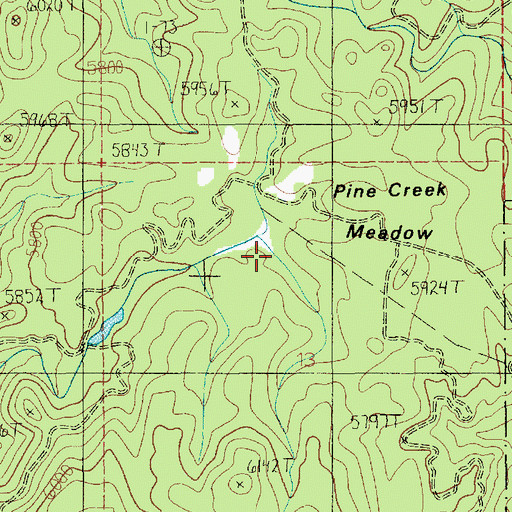 Topographic Map of Pine Creek Meadow, ID