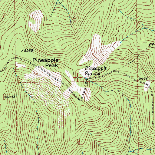Topographic Map of Pineapple Spring, ID