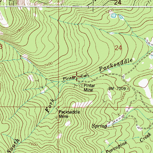 Topographic Map of Pintar Mine, ID