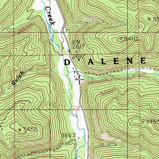 Topographic Map of Pony Gulch, ID