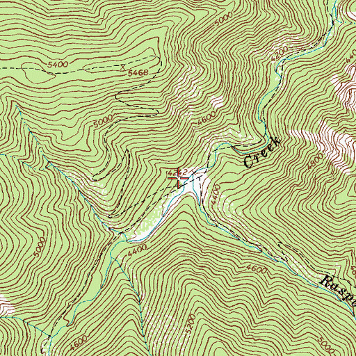 Topographic Map of Raspberry Creek, ID
