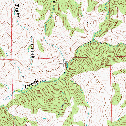Topographic Map of Rattlesnake Creek, ID