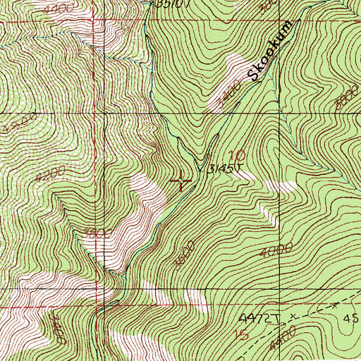 Topographic Map of Red Cross Creek, ID