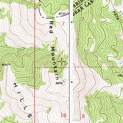 Topographic Map of Red Mountain, ID