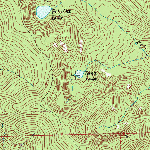 Topographic Map of Ring Lake, ID
