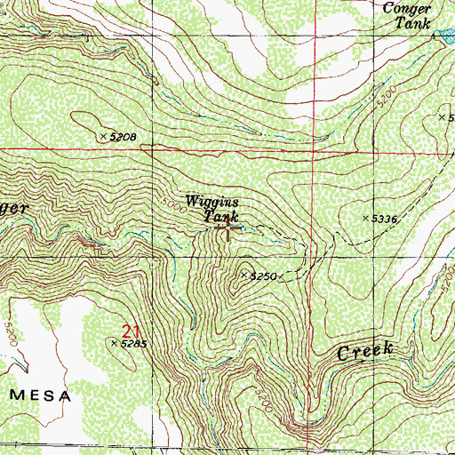 Topographic Map of Wiggins Tank, AZ
