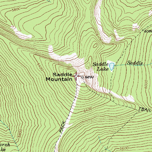 Topographic Map of Saddle Mountain, ID