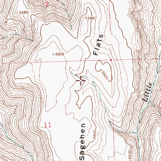 Topographic Map of Sagehen Flats, ID