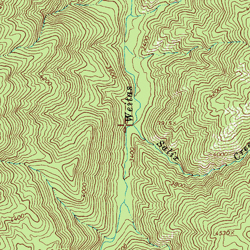 Topographic Map of Salix Creek, ID