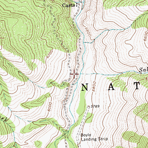 Topographic Map of Salt Creek, ID
