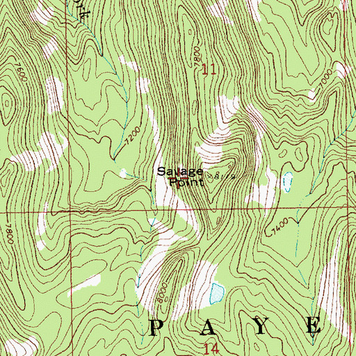 Topographic Map of Savage Point, ID