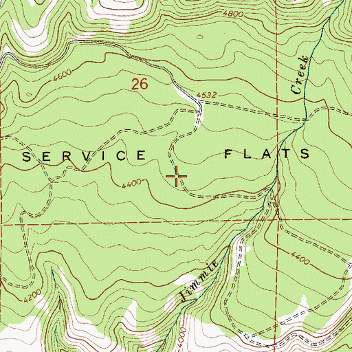 Topographic Map of Service Flats, ID