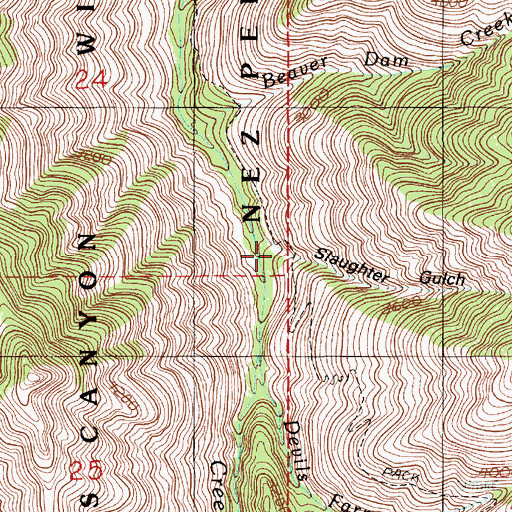 Topographic Map of Slaughter Gulch, ID