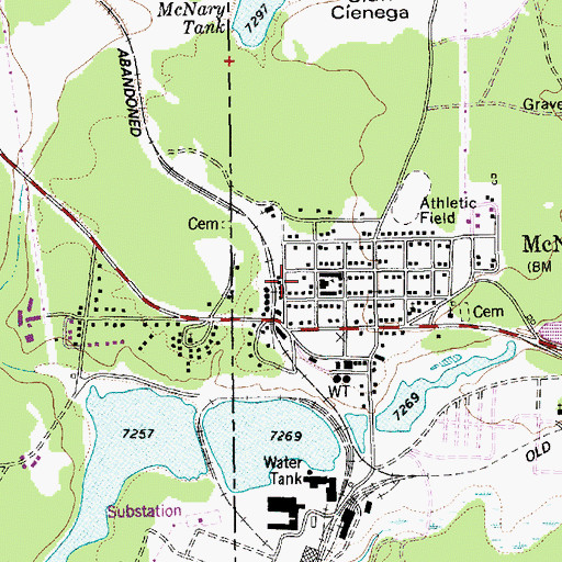 Topographic Map of McNary Elementary School, AZ