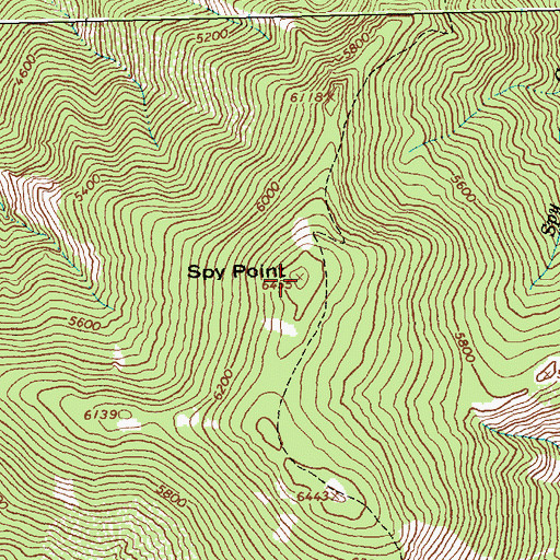 Topographic Map of Spy Point, ID