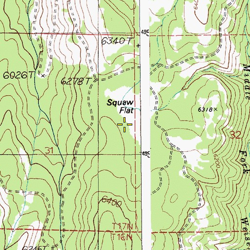 Topographic Map of Squaw Flat, ID