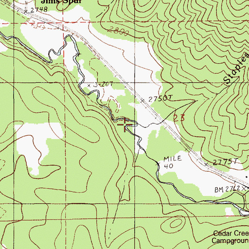 Topographic Map of Staples Creek, ID