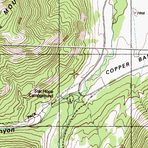 Topographic Map of Star Hope Campground, ID
