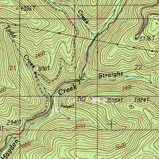 Topographic Map of Straight Creek, ID