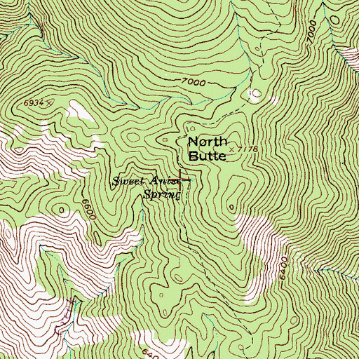 Topographic Map of Sweet Anise Spring, ID