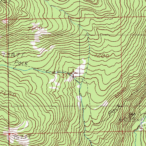 Topographic Map of Switchback Trail, ID